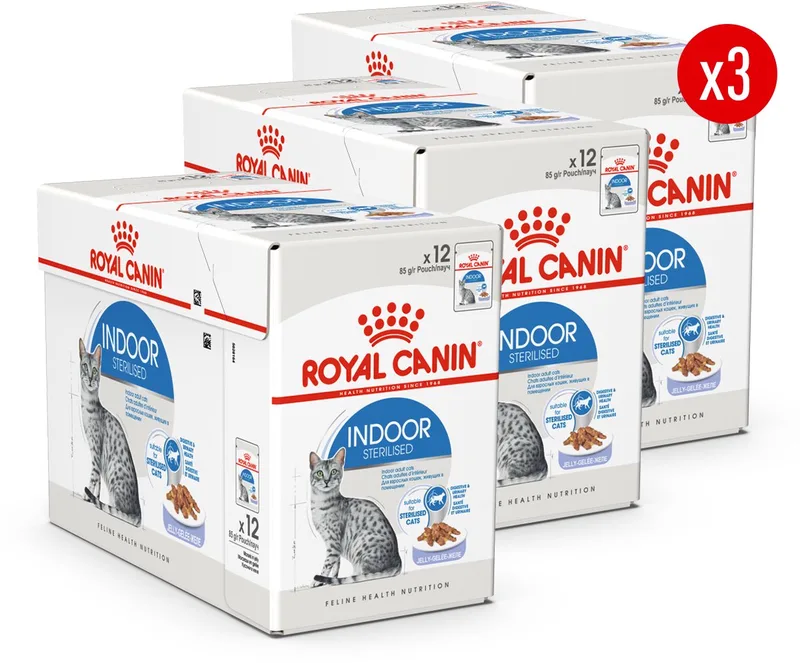 Sterilised Indoor in Jelly - 36 x 85 g - Katten Natvoer - Voordeelverpakking by Royal Canin – product photo