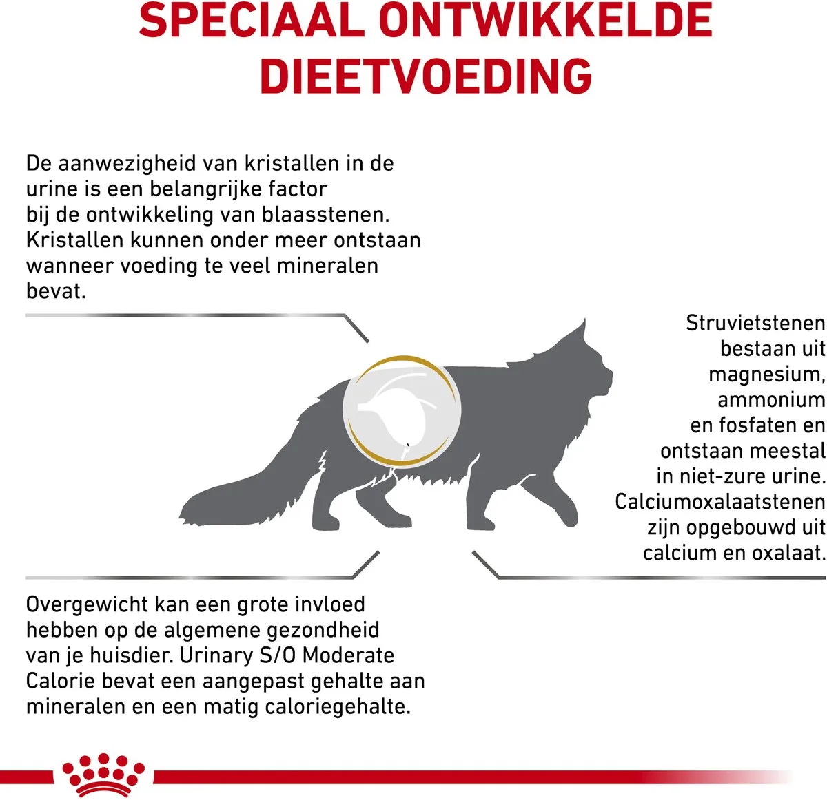 Urinary S/O Moderate Calorie kat Combi - 7 kg + 12 x 85 g från Royal Canin – produktbild