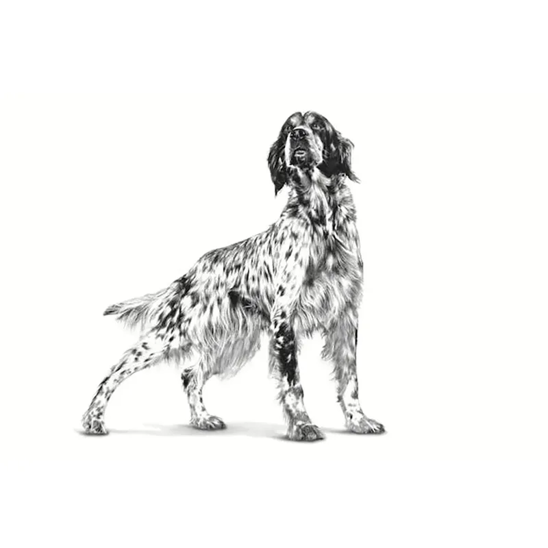 Vhn Gastrointestinal Nassfutter Für Hunde Pastete Mit Hohem Fasergehalt 200 G von Royal Canin – Produktfoto 3 von 3