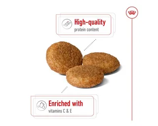 Volwassen Medium Hondenvoer 4 Kg by Royal Canin – product photo 2 of 4