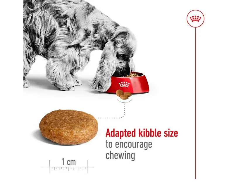 Volwassen Medium Hondenvoer 4 Kg by Royal Canin – product photo 4 of 4