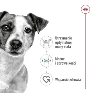 Volwassen Mini S Hondenvoer 8 Kg von Royal Canin – Produktfoto 6 von 6
