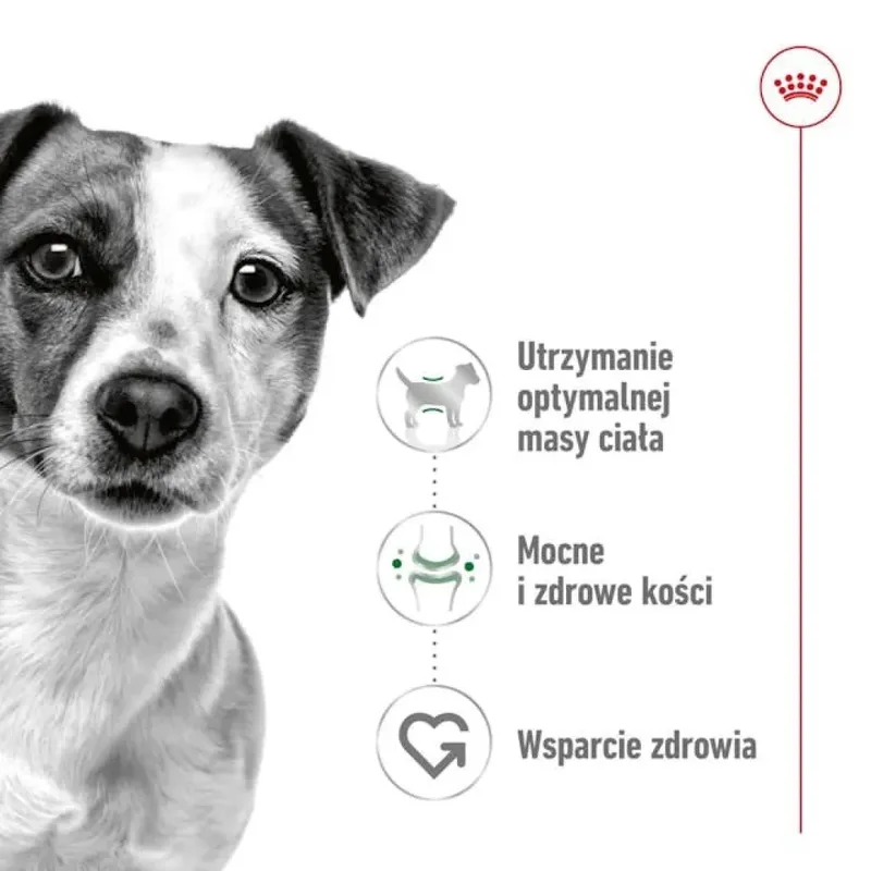 Volwassen Mini S Hondenvoer 8 Kg von Royal Canin – Produktfoto 6 von 6