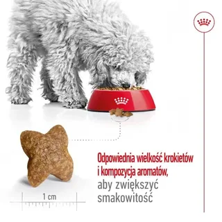Volwassen Mini S Hondenvoer 8 Kg von Royal Canin – Produktfoto 5 von 6
