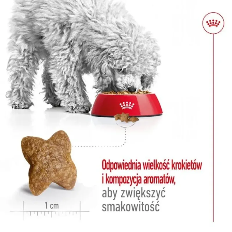 Volwassen Mini S Hondenvoer 8 Kg von Royal Canin – Produktfoto 5 von 6