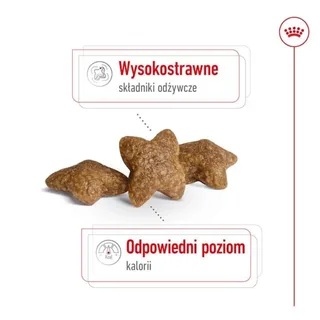 Volwassen Mini S Hondenvoer 8 Kg von Royal Canin – Produktfoto 4 von 6