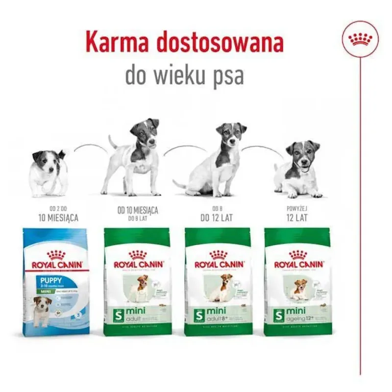 Volwassen Mini S Hondenvoer 8 Kg von Royal Canin – Produktfoto 3 von 6