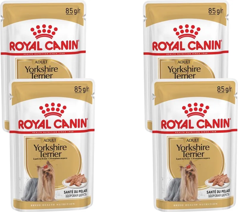 Yorkshire Terrier Adult Hondenvoer Nat - 48 x 85 gr von Royal Canin – Produktfoto