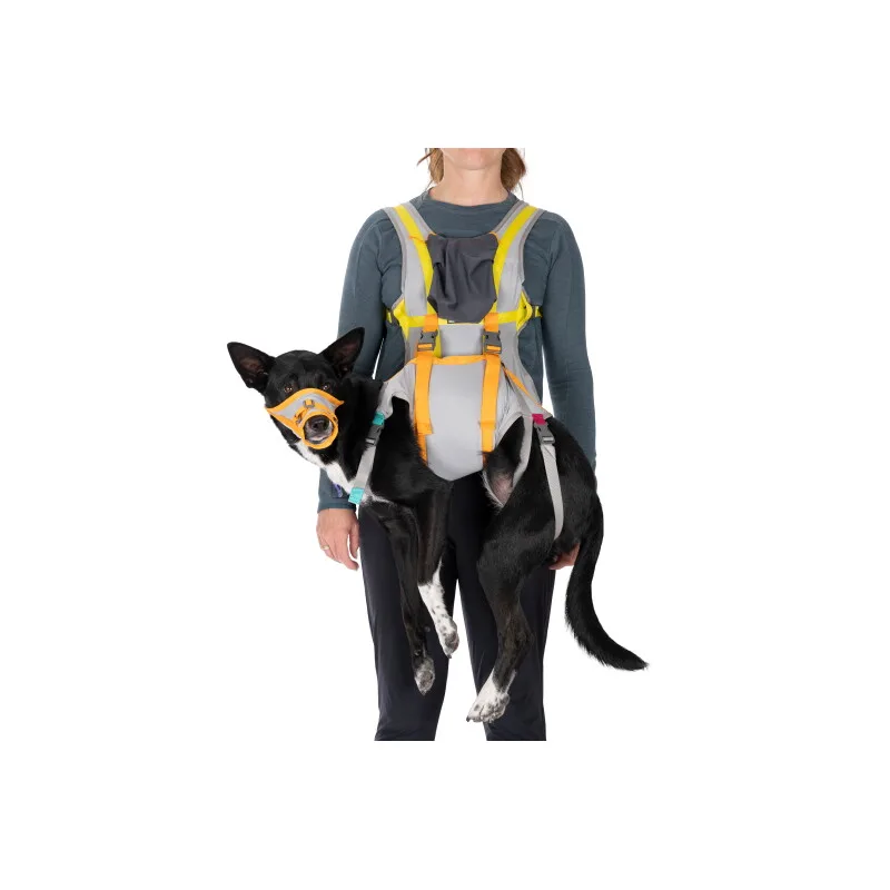 BackTrak™ Evakuierungsset für Hunde L von Ruffwear in Regular – Produktfoto