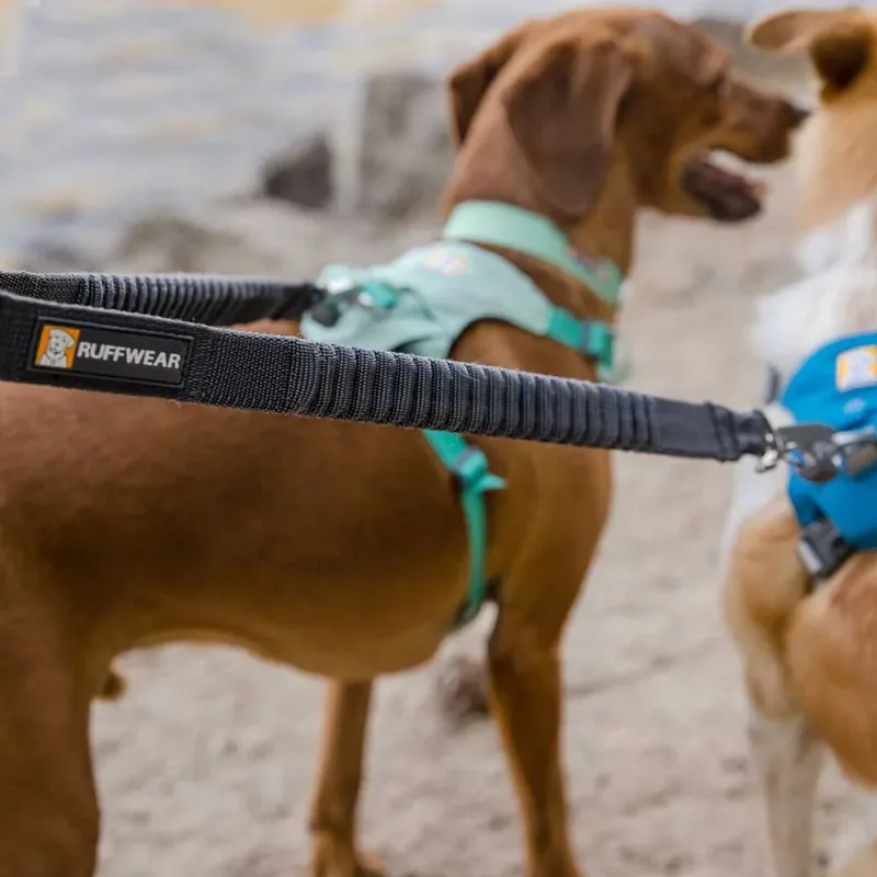 Double Track Couper Hondenriem by Ruffwear – product photo 3 of 5