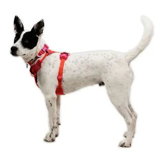 Front Range® Flex Harnas fra Ruffwear – produktbillede 6 af 6