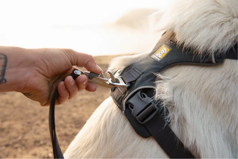 Front Range Harnass - Hondentuig - Xxs de Ruffwear en Gris foncé – photo produit