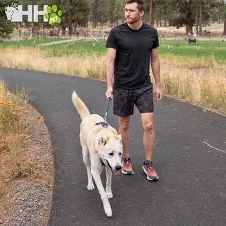 Front Range Short Hondenriem de Ruffwear – photo produit 4 sur 4