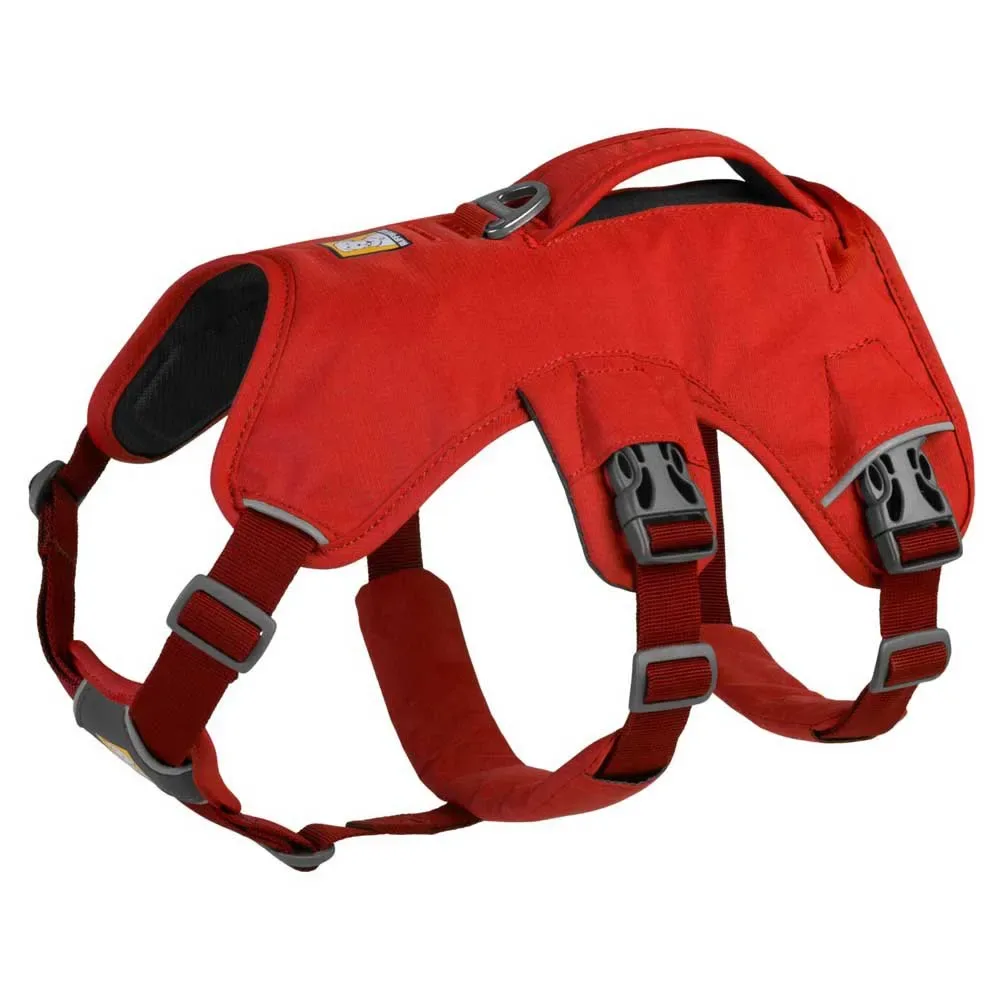 Harnais Pour Chien Web Master fra Ruffwear – produktbillede