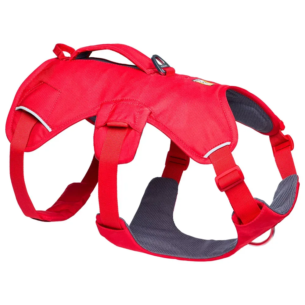 Harnais Pour Chien Web Master™ fra Ruffwear – produktbillede