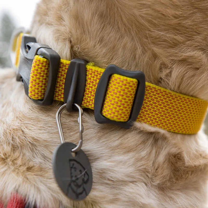 Hi & Light Collar - Lichen Green - 36-51 cm by Ruffwear in Black, Yellow, Blue, Green – product photo