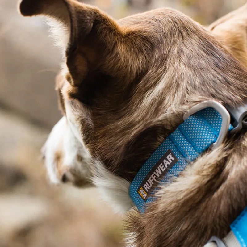 Hi & Light Collar - Sage Green - 23-28 cm de Ruffwear en Noir, Jaune, Bleu, Vert – photo produit