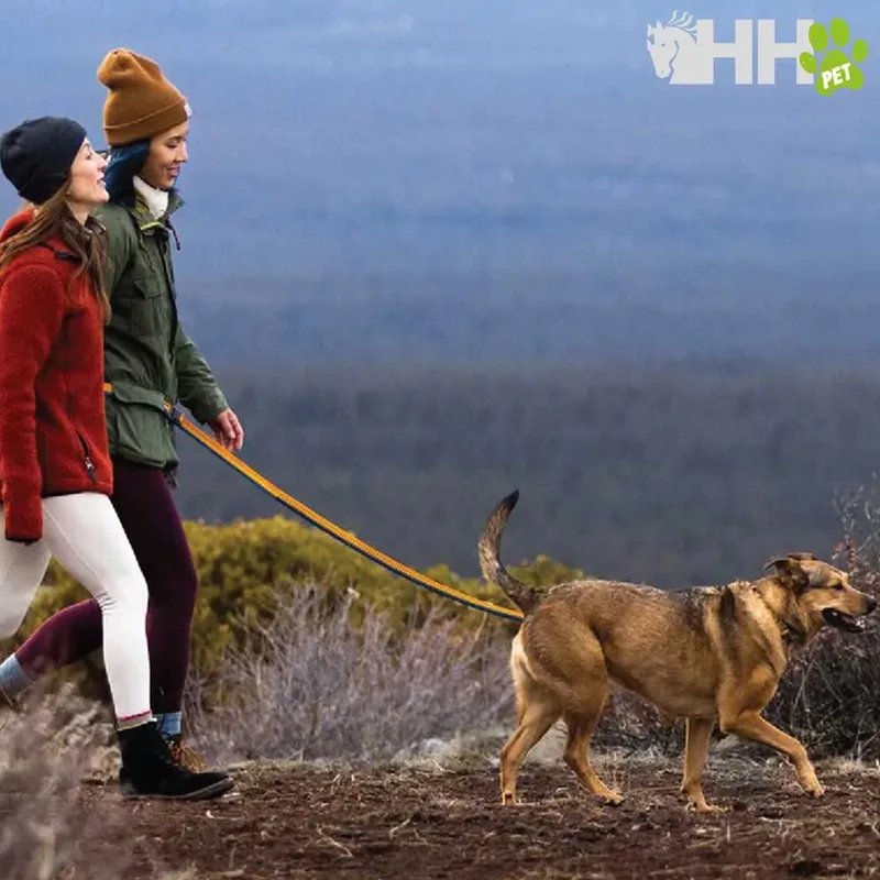 Roamer Hondenriem de Ruffwear – photo produit 4 sur 4