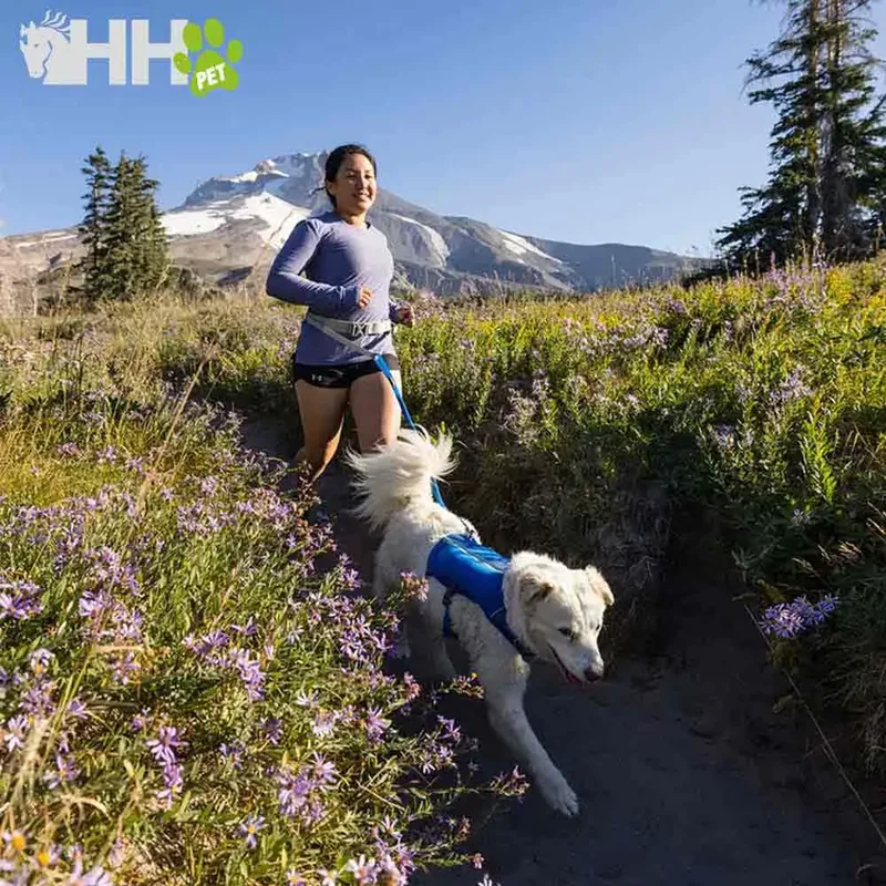 Trail Runner Belt Hondenriem by Ruffwear – product photo 4 of 5