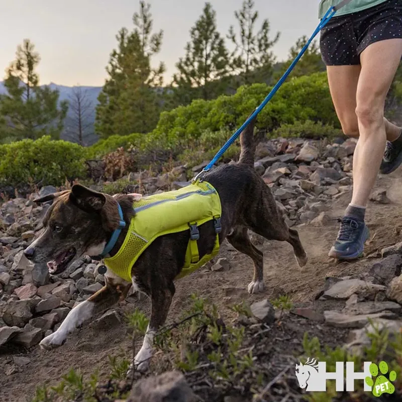 Trail Runner Hondenriem by Ruffwear – product photo 6 of 6