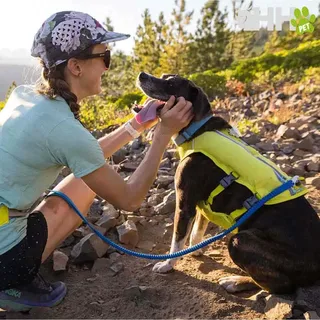 Trail Runner Hondenriem by Ruffwear – product photo 5 of 6