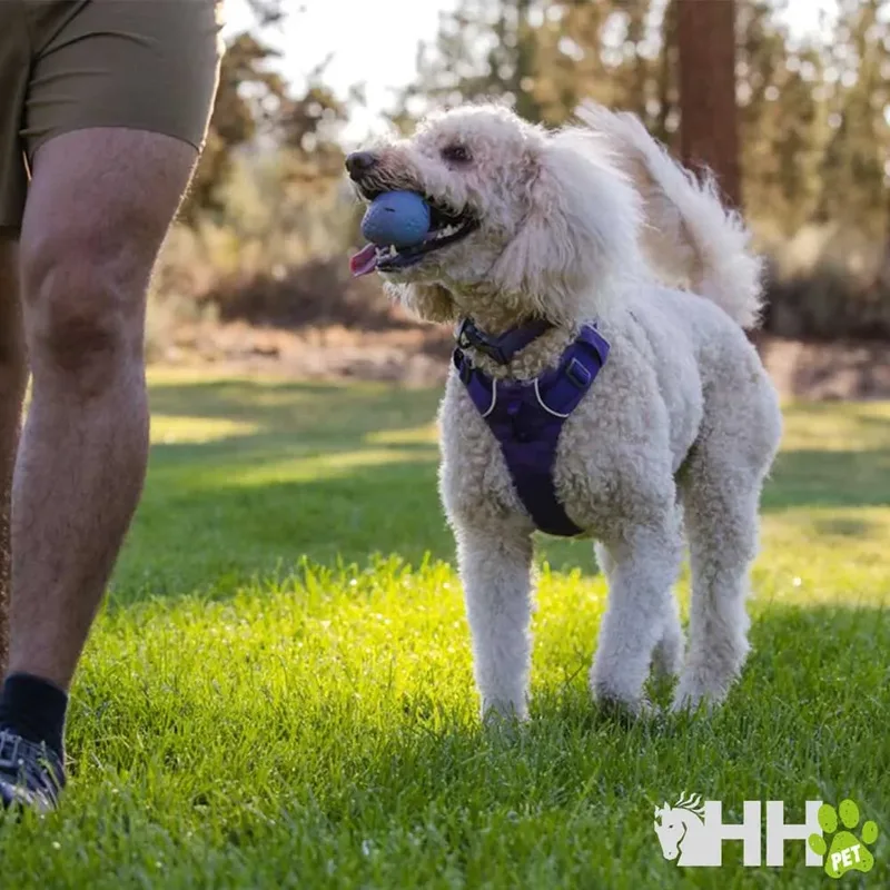 Turnup Hondenspeeltje de Ruffwear – photo produit 3 sur 3
