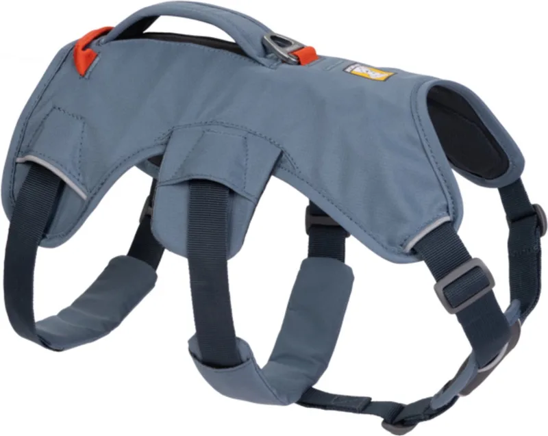 Web Master Harness - Hondenharnas - Xxs 33-43 Cm by Ruffwear in Blue – product photo