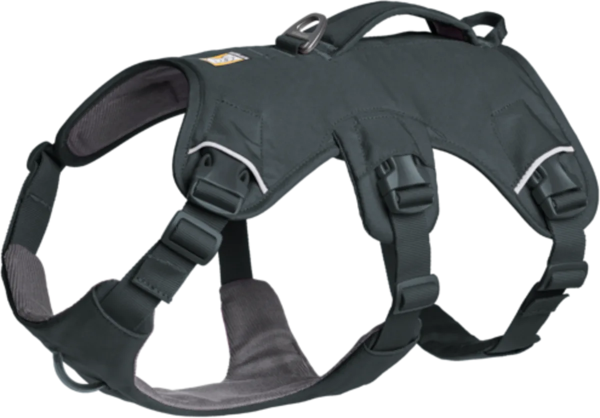 Web Master™ Geschirr Basalt Gray - S von Ruffwear – Produktfoto
