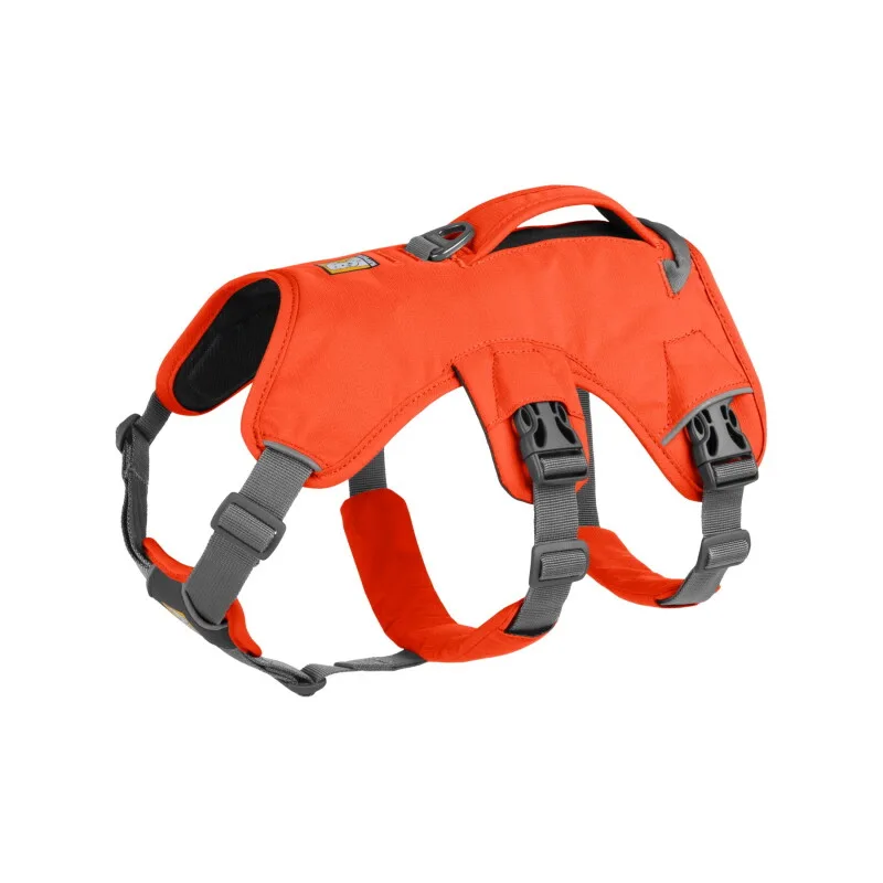 Web Master™ Geschirr orange S by Ruffwear in Regular – product photo