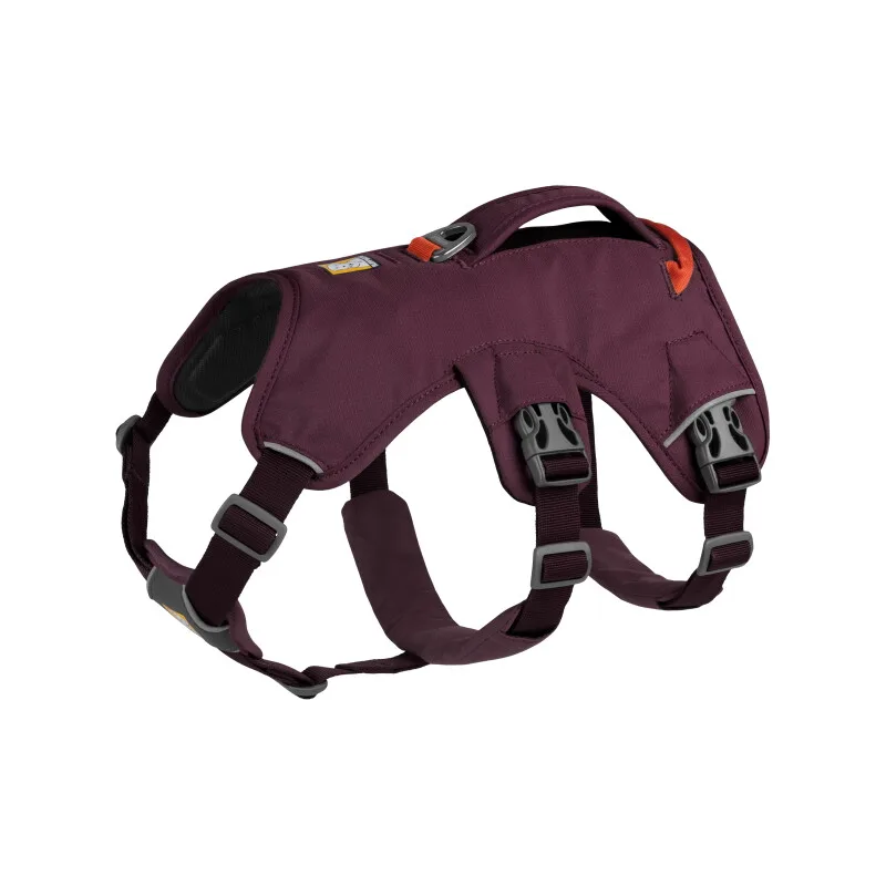 Web Master™ Geschirr violett XXS by Ruffwear in Regular – product photo