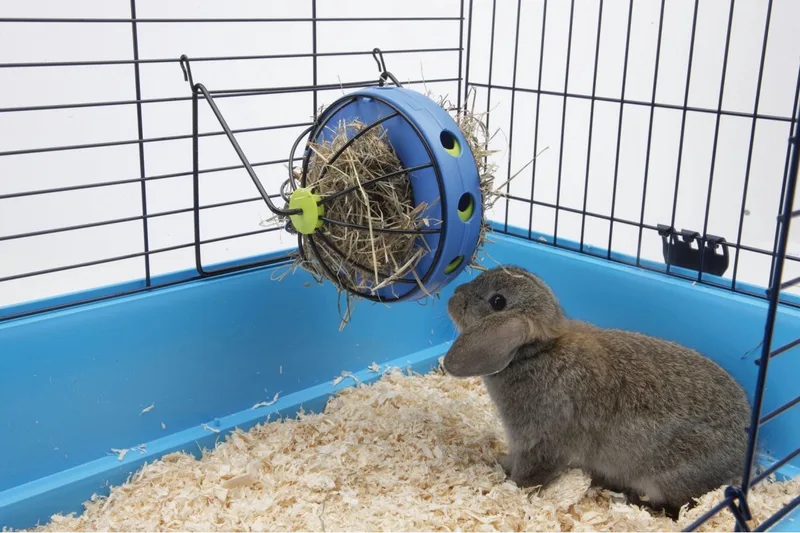 Hooi- en Snackmolen Bunny Toy von Savic in Assorti – Produktfoto