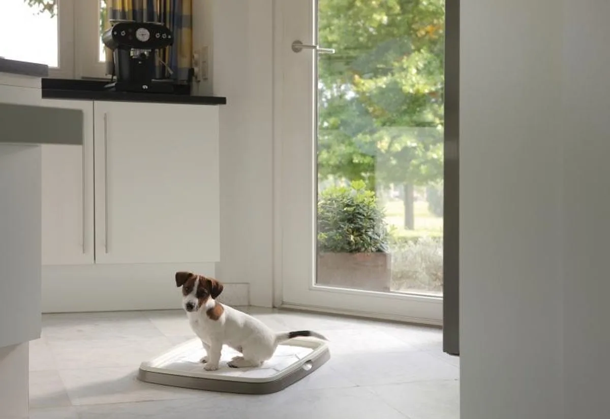 Savic Puppy Trainer Starterkit Medium - Hondentoilet - 450 mm x 300 mm van Savic – productfoto