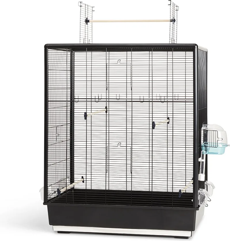 Vogelkooi Primo 60 Open Empire Zwart de Savic en Bleu – photo produit
