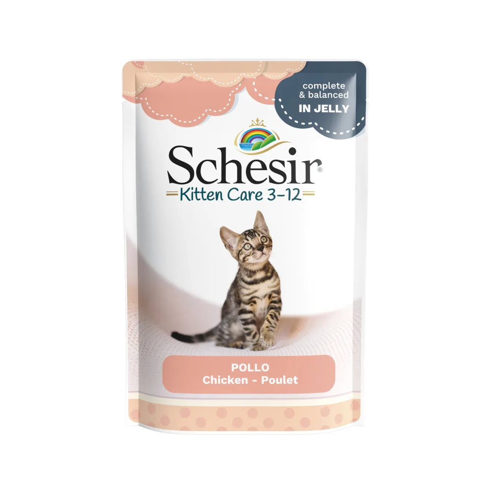 6x85g Kitten Kip in Gelei Schesir Kattenvoer Maaltijdzakjes by Schesir – product photo