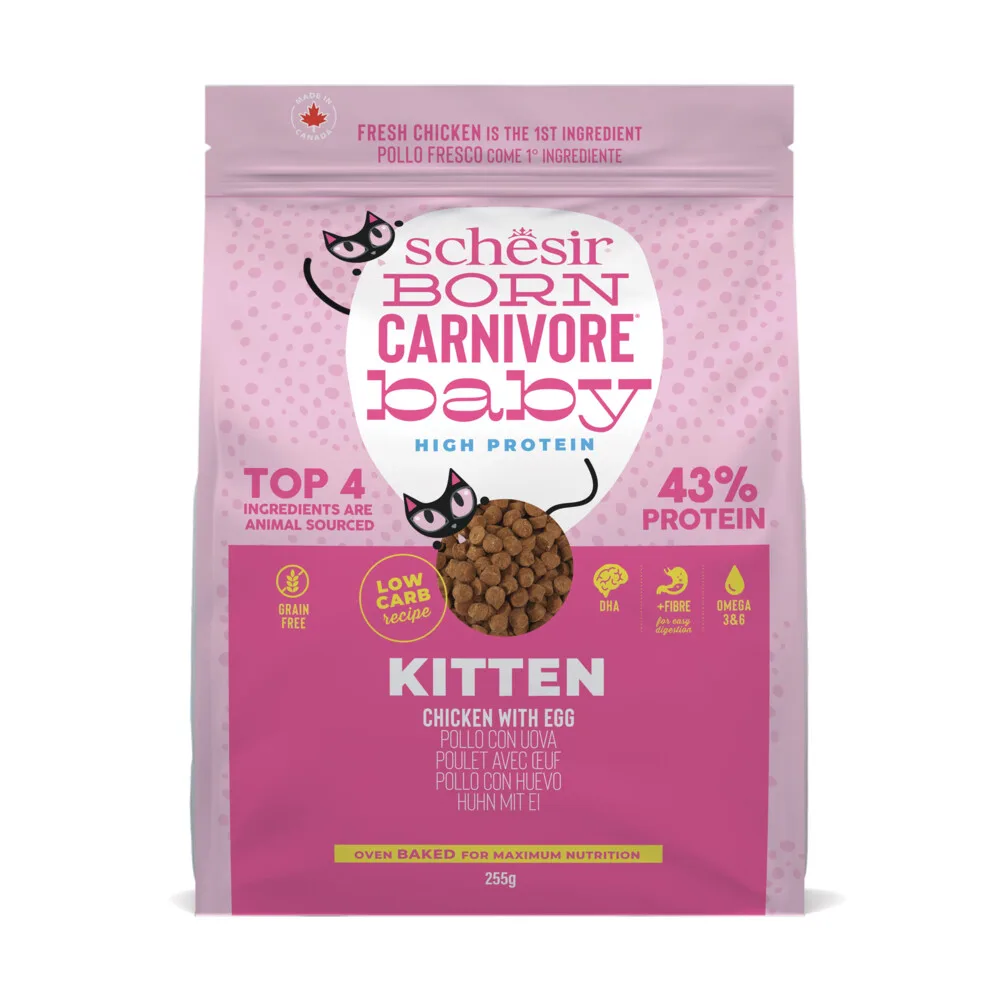 Born Carnivore Kitten Kattenvoer Chicken & Egg 255 gr van Schesir – productfoto