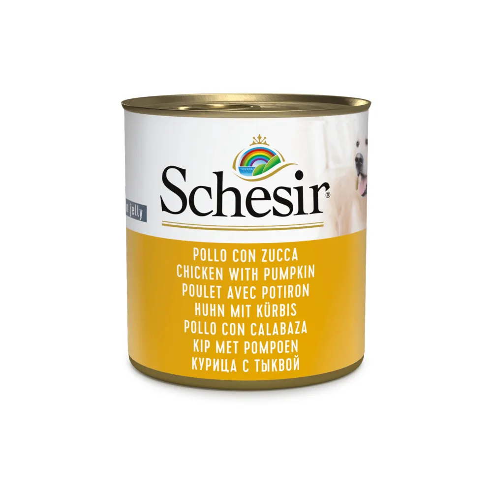 Huhn Mit Kürbis 285 GR van Schesir – productfoto