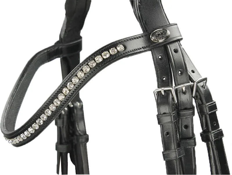 Hoofdstel Schockemöhle Malibu | Maat: Paard von Schockemöhle in Zwart-zilver – Produktfoto