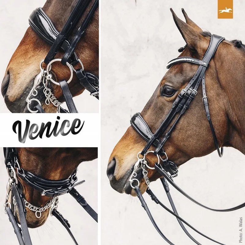 Venice Anatom. Stang & Trens Full by Schockemöhle in Black – product photo
