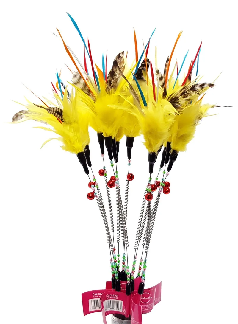 Carnaval Hengel de Schulze – photo produit