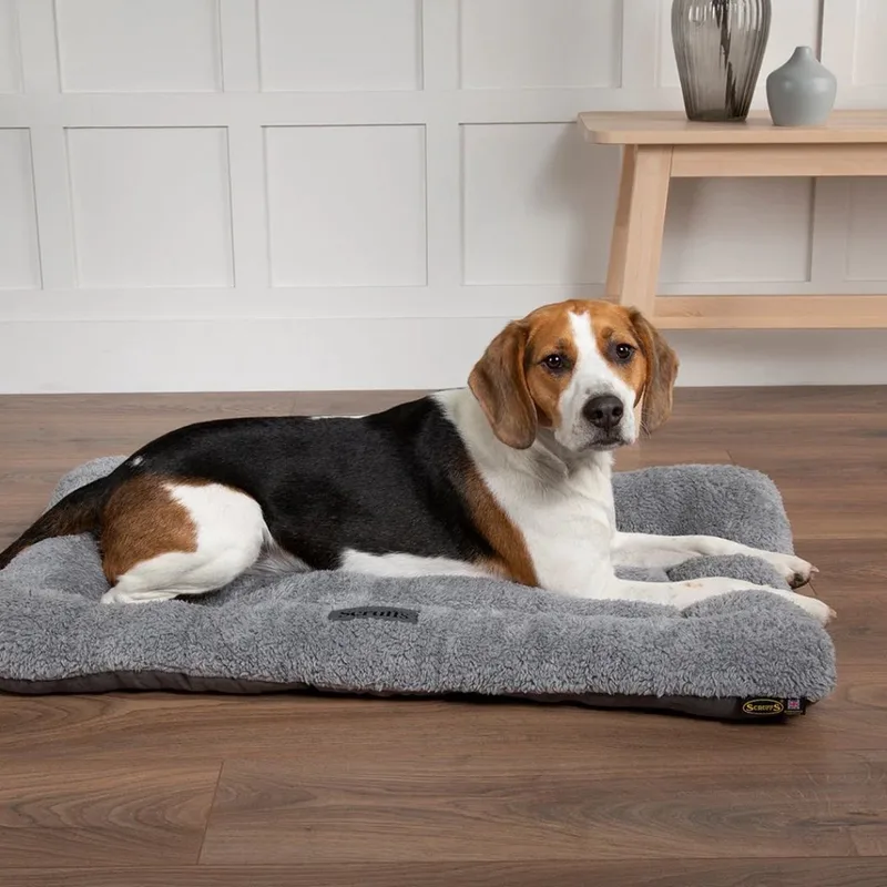 Cosy benchkussen - Zacht Hondenkussen - Anti-Slip - Imitatie su�de - XL - 120 x 75 cm von Scruffs in Grau – Produktfoto