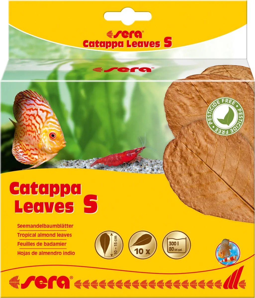 Catappa Leaves 10 stuks 10-15CM de Sera – photo produit