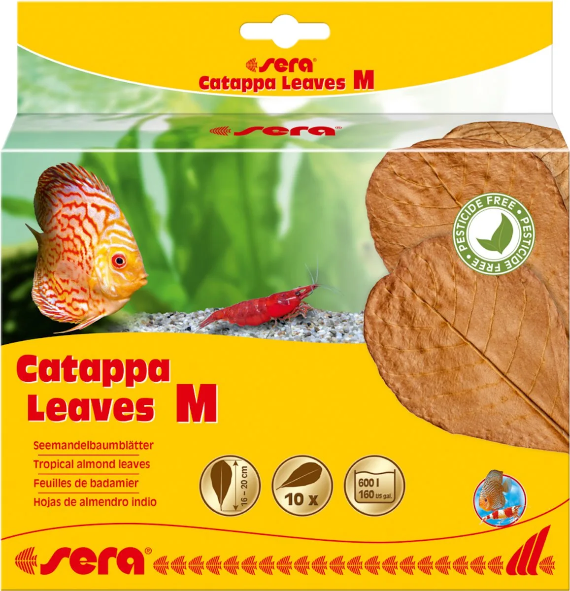 Catappa Leaves 10 stuks 16-20CM van Sera – productfoto
