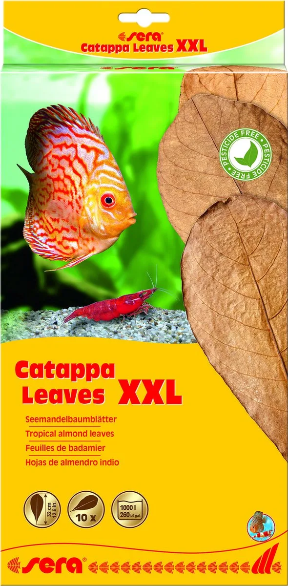Catappa Leaves 10 stuks 30-35CM fra Sera – produktbillede