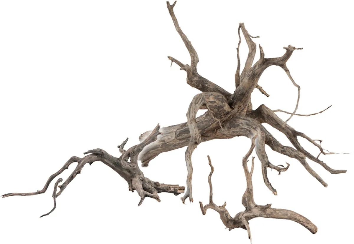 Scaper Root S - 25-30CM de Sera en Bekijk productafbeelding – photo produit
