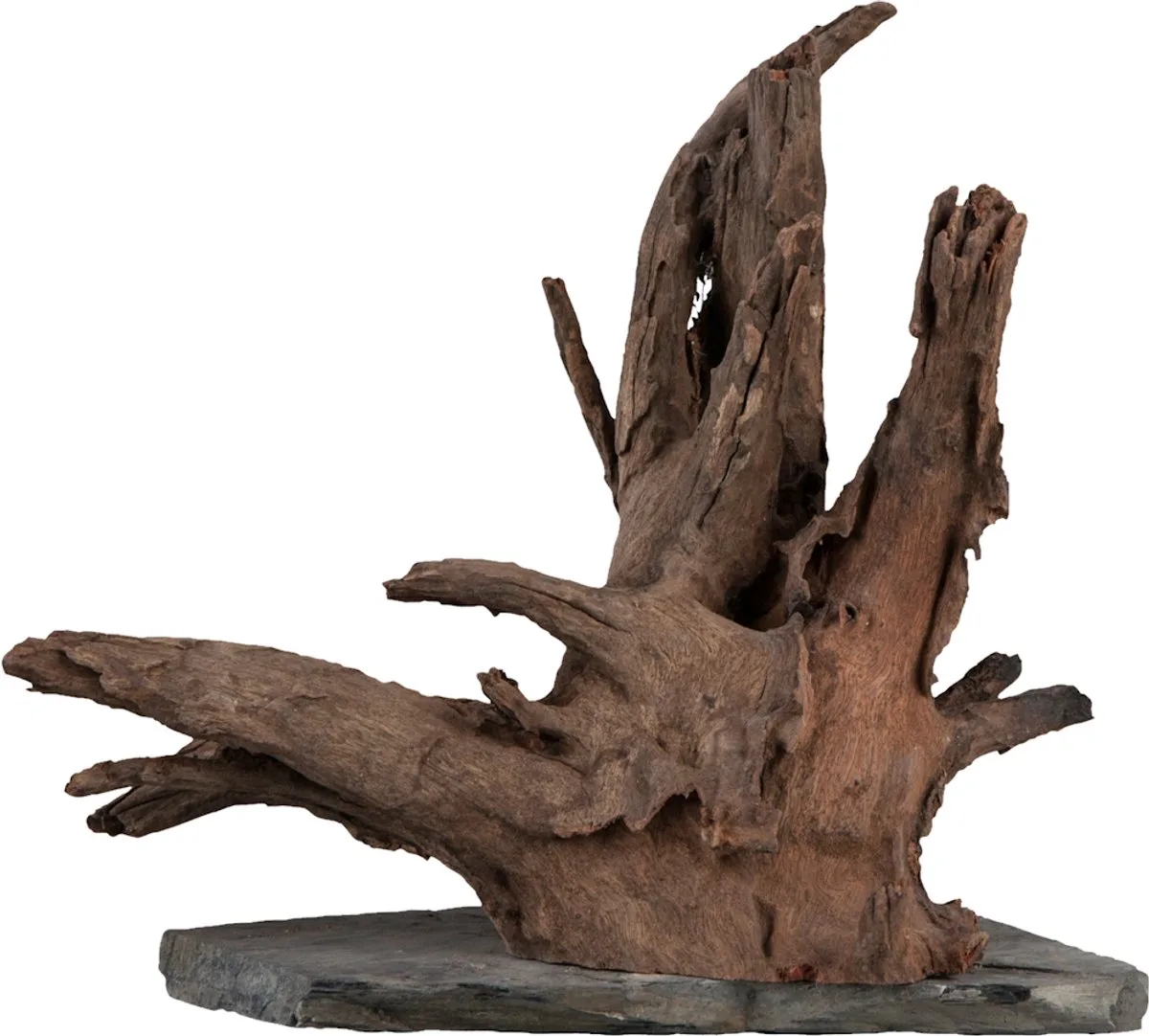 Scaper Wood L - 30-35CM van Sera in Bekijk productafbeelding – productfoto