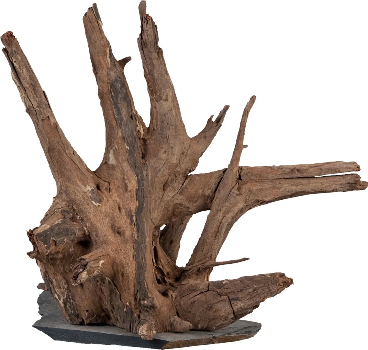 Scaper Wood M - 18-20 CM de Sera en Bekijk productafbeelding – photo produit
