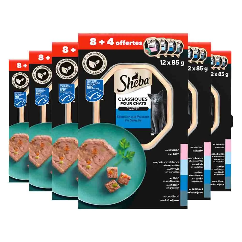 6x Sheba Kattenvoer Nat Classic Paté Vis Selectie Multipack 12x85 gr van Sheba – productfoto