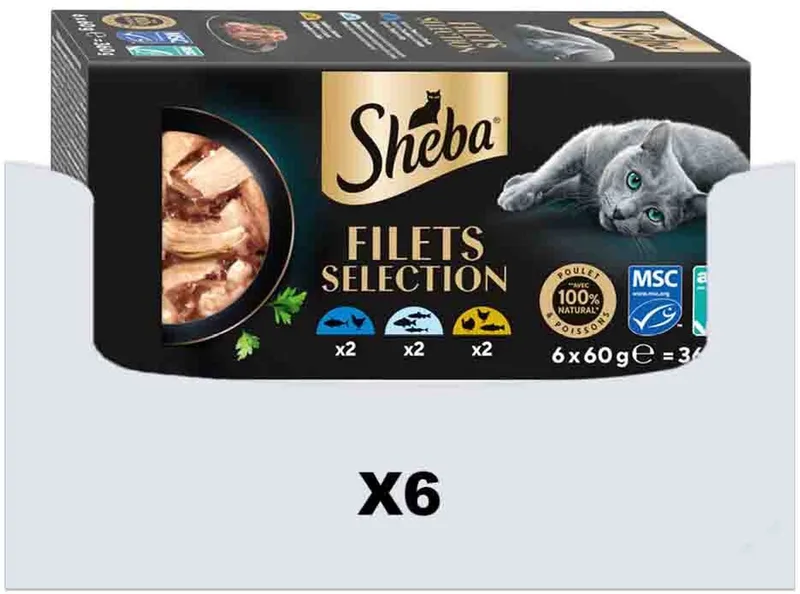 Kattenvoer Nat Filets Witte Vis in Saus Multipack - 6 x 6x60 gr - Voordeelverpakking by Sheba – product photo