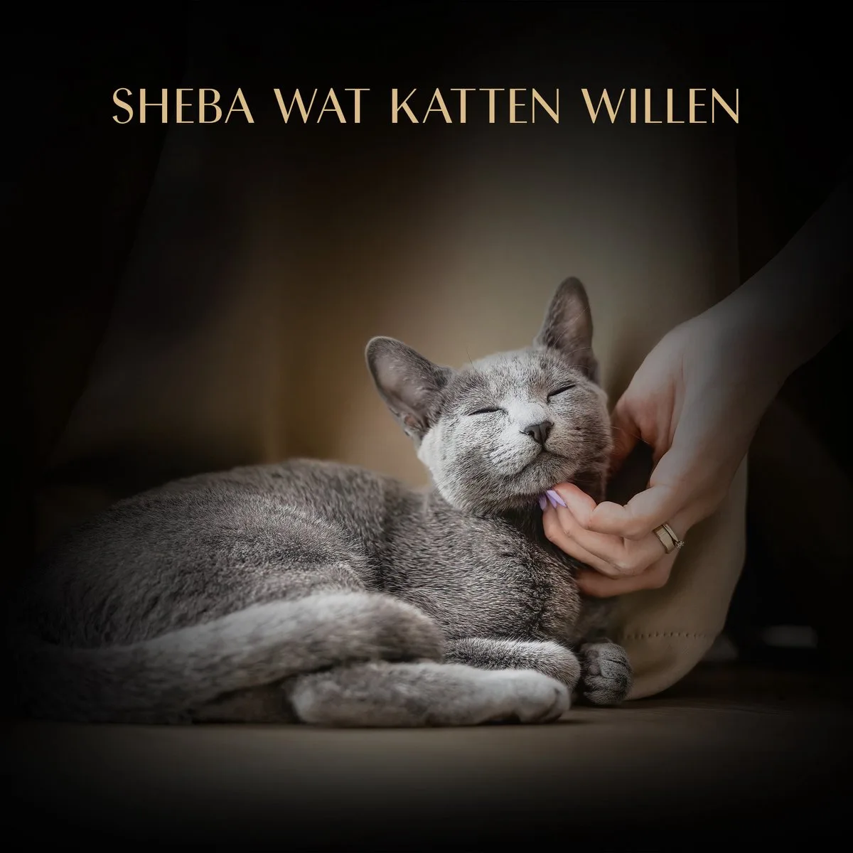 Soup Tonijn - 8 x 40 gram von Sheba – Produktfoto