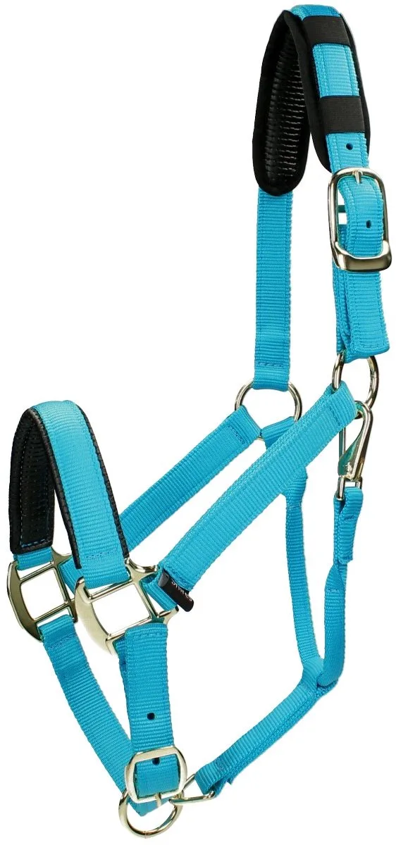 Halster Shires Nylon Topaz van Shires in Blauw – productfoto
